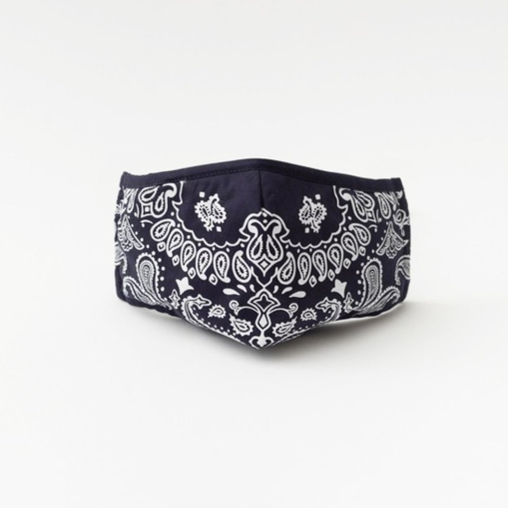 Navy Paisley Reusable 3 Layer Filter Pocket Mask - Picture 5 of 8